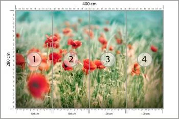 Fototapeta Dzikie Maki Na Łące - obrazek 3