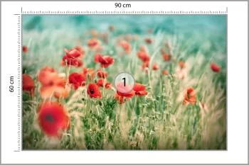 Fototapeta Dzikie Maki Na Łące - obrazek 3