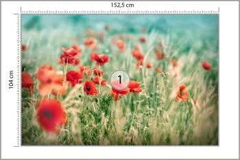 Fototapeta Dzikie Maki Na Łące - obrazek 3