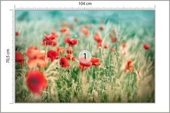 Fototapeta Dzikie Maki Na Łące - obrazek 3