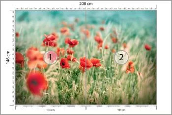 Fototapeta Dzikie Maki Na Łące - obrazek 3