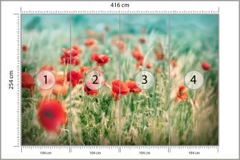 Fototapeta Dzikie Maki Na Łące - obrazek 3