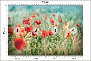 Fototapeta Dzikie Maki Na Łące - obrazek 3