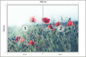Fototapeta Pole Maków - obrazek 3