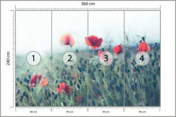 Fototapeta Pole Maków - obrazek 3