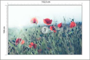 Fototapeta Pole Maków - obrazek 3