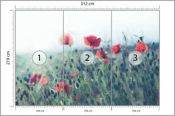 Fototapeta Pole Maków - obrazek 3