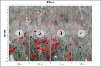 Fototapeta Pole Maków - obrazek 3