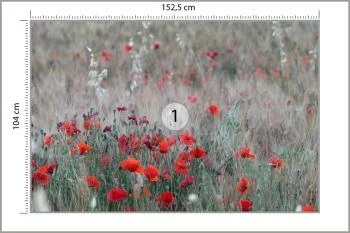 Fototapeta Pole Maków - obrazek 3