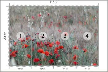 Fototapeta Pole Maków - obrazek 3