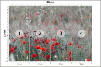 Fototapeta Pole Maków - obrazek 3