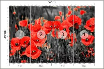 Fototapeta Maki Kwiaty - obrazek 3