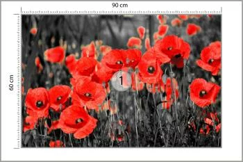 Fototapeta Maki Kwiaty - obrazek 3