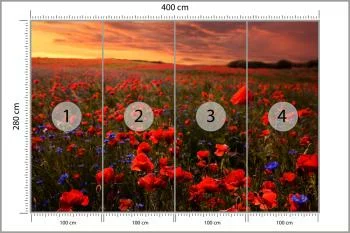 Fototapeta Pole Maków - obrazek 3