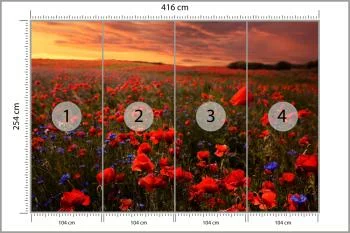 Fototapeta Pole Maków - obrazek 3