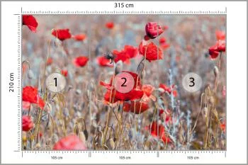 Fototapeta Maki Łąka Vintage - obrazek 3