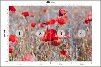 Fototapeta Maki Łąka Vintage - obrazek 3