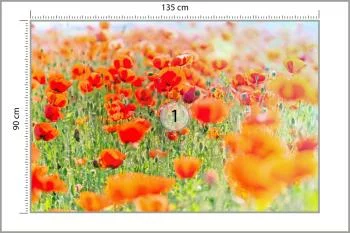 Fototapeta Pole Czerwonych Maków - obrazek 3