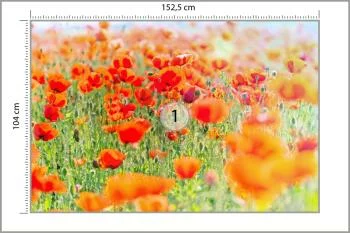 Fototapeta Pole Czerwonych Maków - obrazek 3