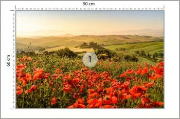 Fototapeta Pole Maków - obrazek 3