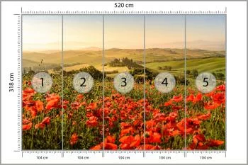 Fototapeta Pole Maków - obrazek 3