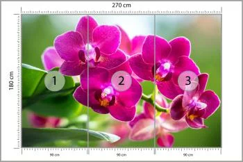 Fototapeta Storczyki Natura - obrazek 3