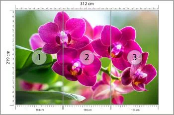 Fototapeta Storczyki Natura - obrazek 3