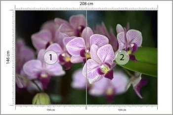 Fototapeta Piękne Orchidee - obrazek 3