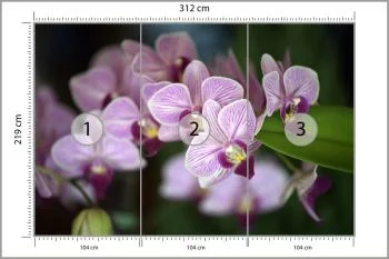 Fototapeta Piękne Orchidee - obrazek 3