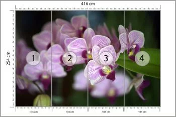 Fototapeta Piękne Orchidee - obrazek 3