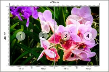 Fototapeta Kolorowe Orchidee 3D - obrazek 3