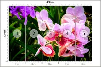 Fototapeta Kolorowe Orchidee 3D - obrazek 3