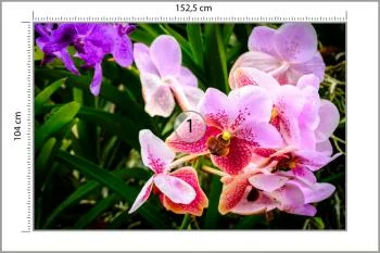 Fototapeta Kolorowe Orchidee 3D - obrazek 3