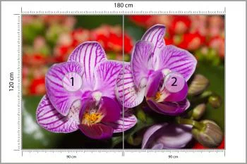 Fototapeta Optyczna Orchidea 3D - obrazek 3