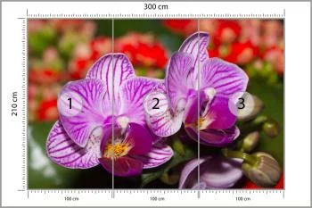 Fototapeta Optyczna Orchidea 3D - obrazek 3