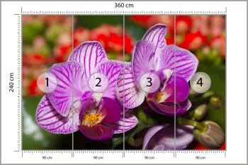Fototapeta Optyczna Orchidea 3D - obrazek 3