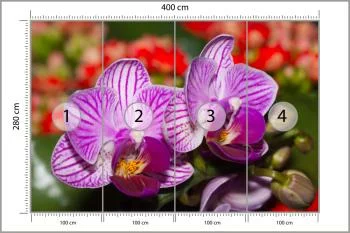 Fototapeta Optyczna Orchidea 3D - obrazek 3