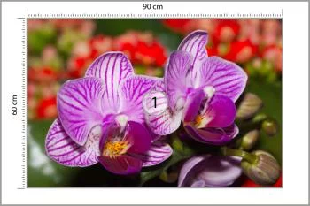 Fototapeta Optyczna Orchidea 3D - obrazek 3