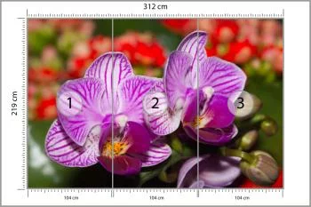 Fototapeta Optyczna Orchidea 3D - obrazek 3