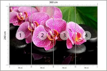 Fototapeta Orchidea Spa - obrazek 3