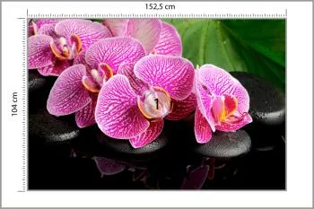 Fototapeta Orchidea Spa - obrazek 3