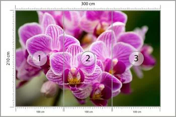 Fototapeta Bukiet Orchidei - obrazek 3