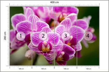 Fototapeta Bukiet Orchidei - obrazek 3