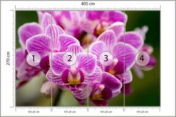 Fototapeta Bukiet Orchidei - obrazek 3