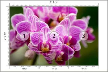 Fototapeta Bukiet Orchidei - obrazek 3