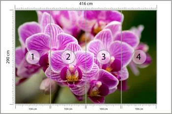 Fototapeta Bukiet Orchidei - obrazek 3