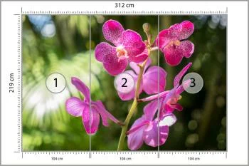 Fototapeta Piękne Orchidee - obrazek 3