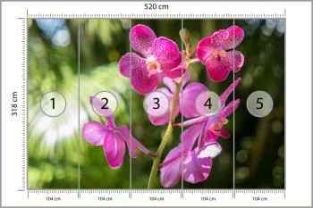 Fototapeta Piękne Orchidee - obrazek 3