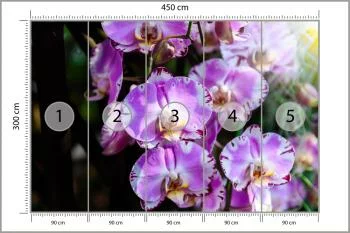Fototapeta Piękne Orchidee - obrazek 3