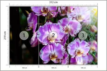 Fototapeta Piękne Orchidee - obrazek 3